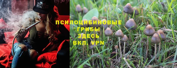 метадон Пересвет