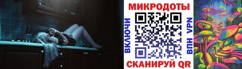 Псилоцибиновые грибы Cubensis  blacksprut сайт  Невельск  купить закладку 